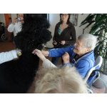 28.05.2015 Seniorenheim Vitaris